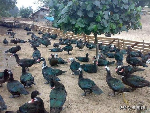 路北方小说全文免费阅读（路北方小说全文免费阅读无弹窗全文）