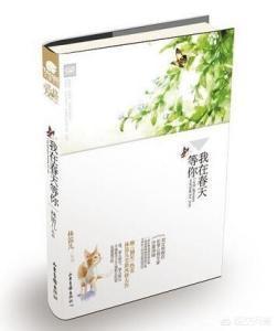 摘星林笛儿全三册（摘星林笛儿全三册番外着陆）