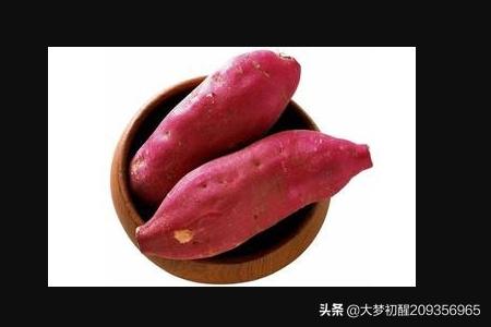 她很软很甜（她很软很甜 小说免费）