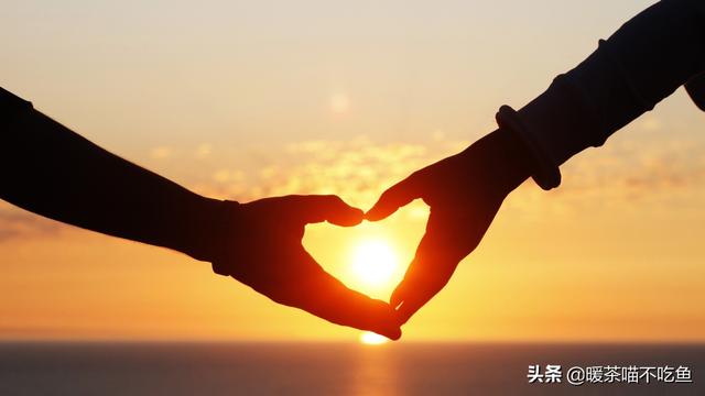 电视剧如果可以这样爱免费观看