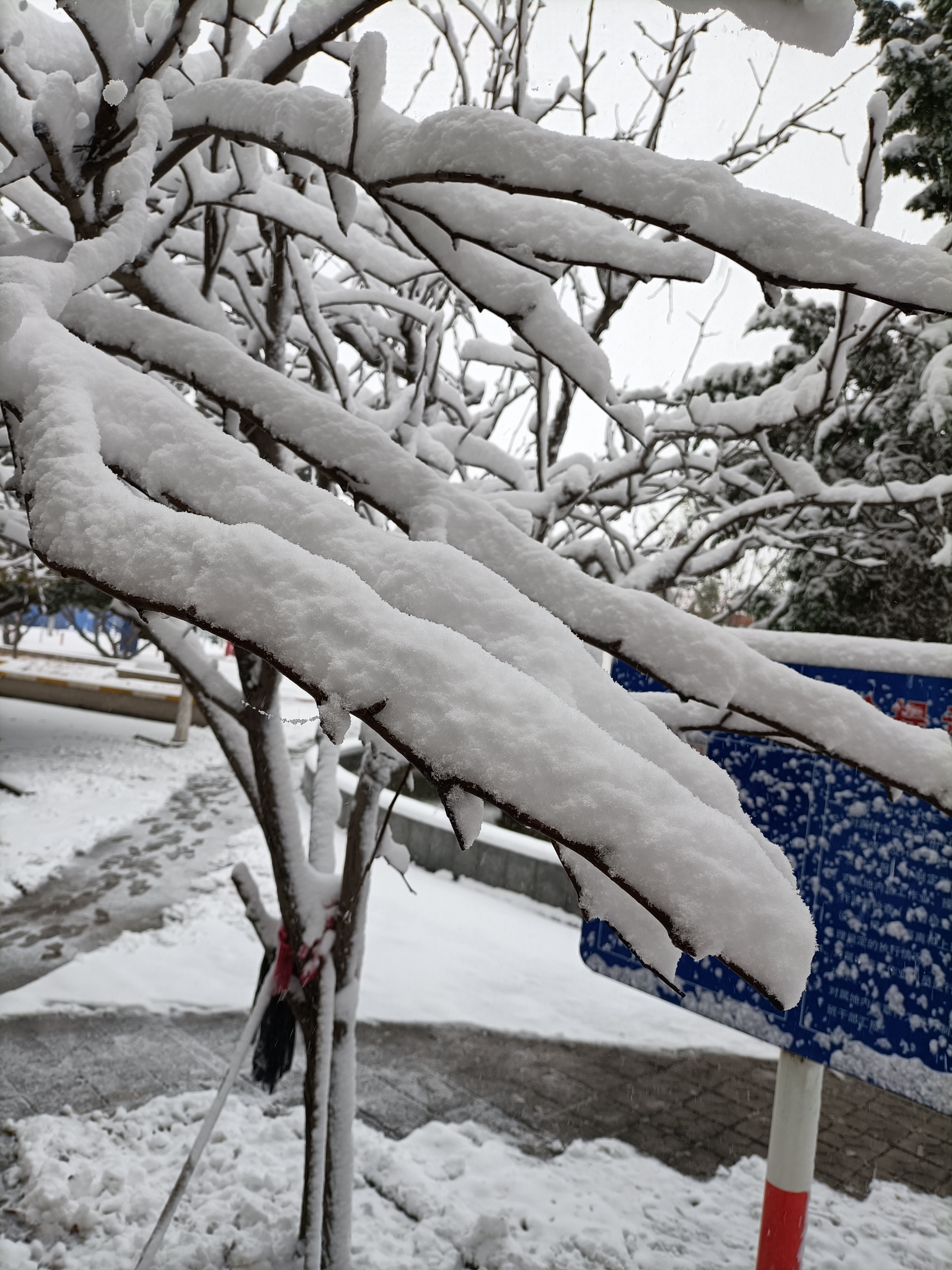 富贵不能吟讲的什么（富贵不能吟男主是谁）