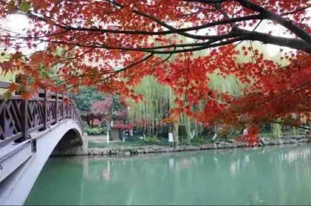 红楼梦小说阅读（《红楼梦》小说原文全集在线阅读）