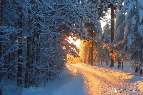 先婚后爱婚后生活(先婚后爱内容)