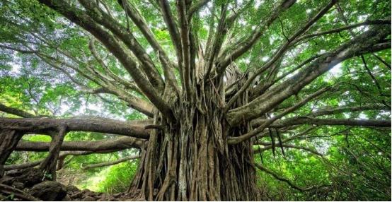 斗破苍穹的后续是哪本小说（斗破苍穹的后续是哪本小说改编的）