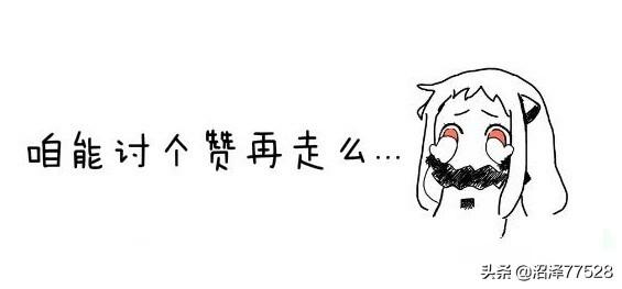 请向我告白在线阅读(请向我告白小说全文免费阅读无防盗)